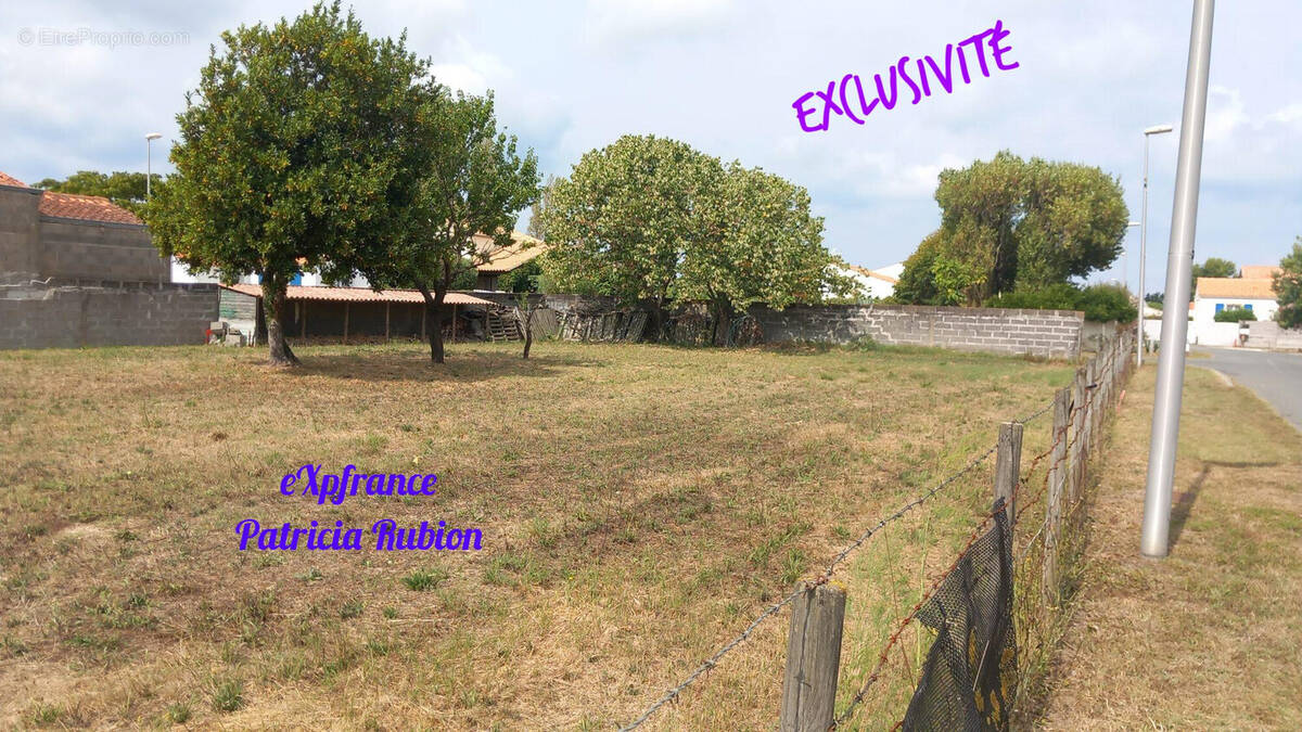 Terrain de 687m2 constructible - Terrain à DOLUS-D'OLERON