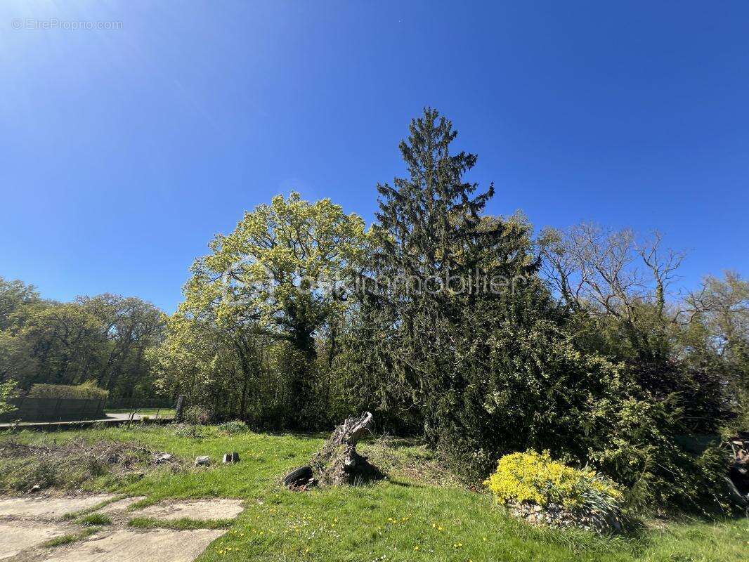Belle maison 121 m2 de plain-pied avec tres grand jardin de 4500m2 - photo 17