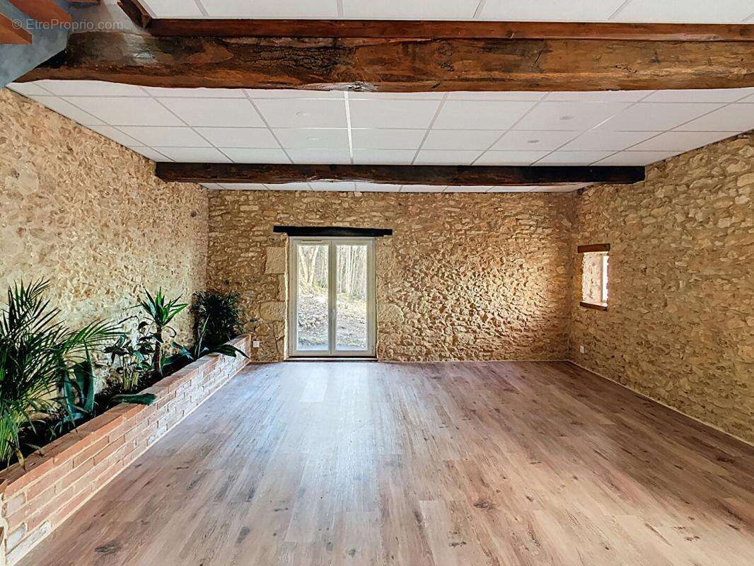 Maison à LE BUISSON-DE-CADOUIN