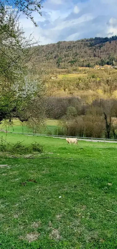 Terrain à COISE-SAINT-JEAN-PIED-GAUTHIER