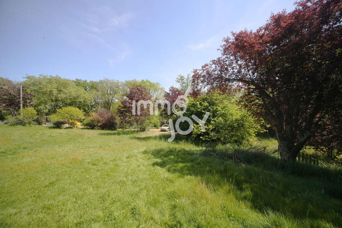 Caujac, environnement magnifique, petite maison de plain-pied au milieu de 3 hectares - photo 14