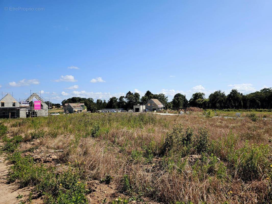 Terrain à DOUVRES-LA-DELIVRANDE