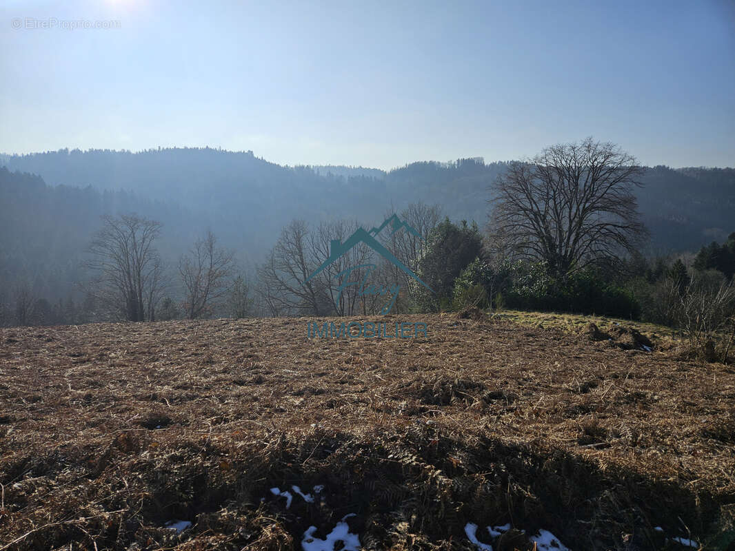 Terrain de 6500m2 dont 2300m2 constructible - photo 7
