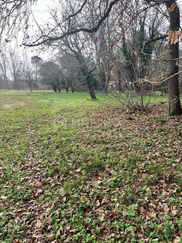Terrain à GRAYAN-ET-L&#039;HOPITAL