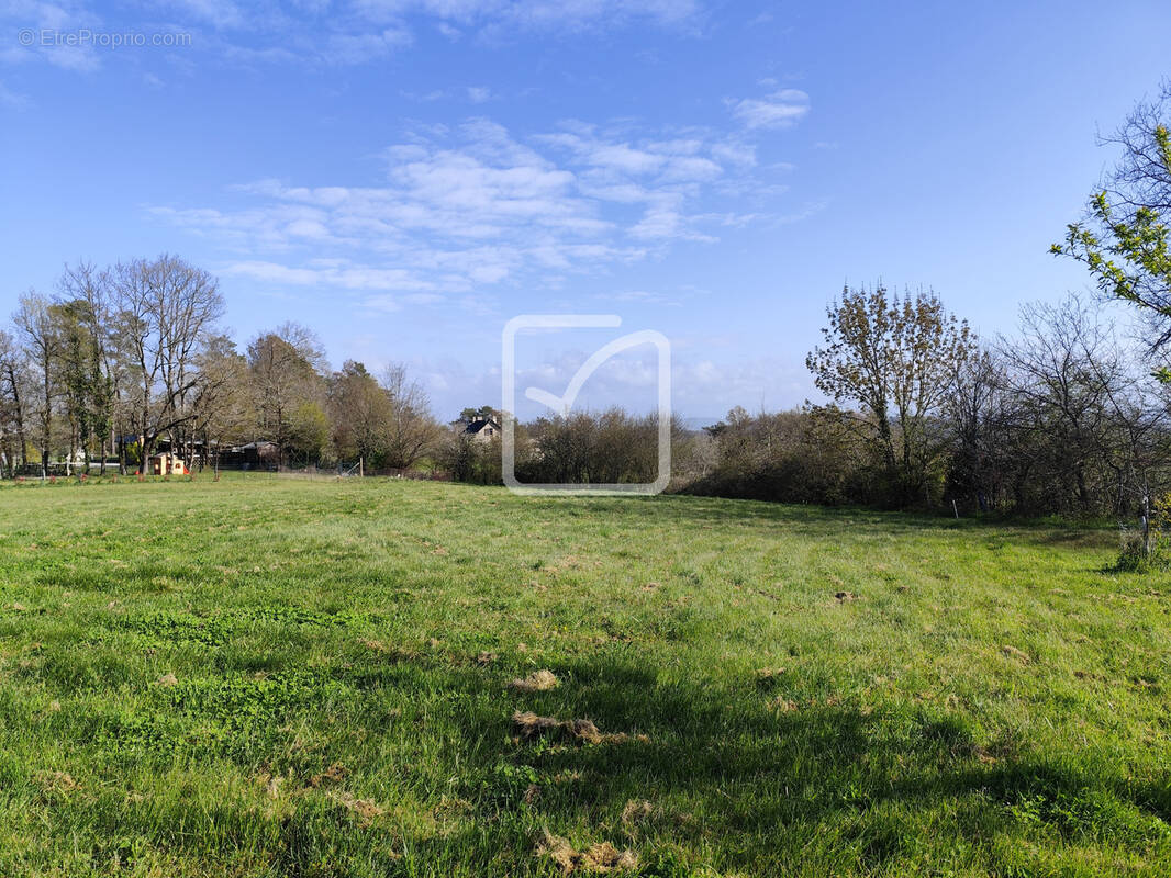 Terrain à BRIVE-LA-GAILLARDE