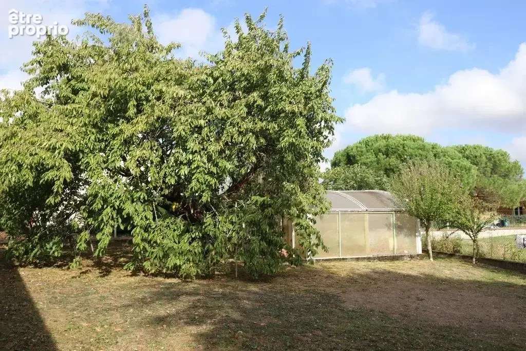 Mazères, belle maison de caractère  sur 2000 m² de terrain - photo 3
