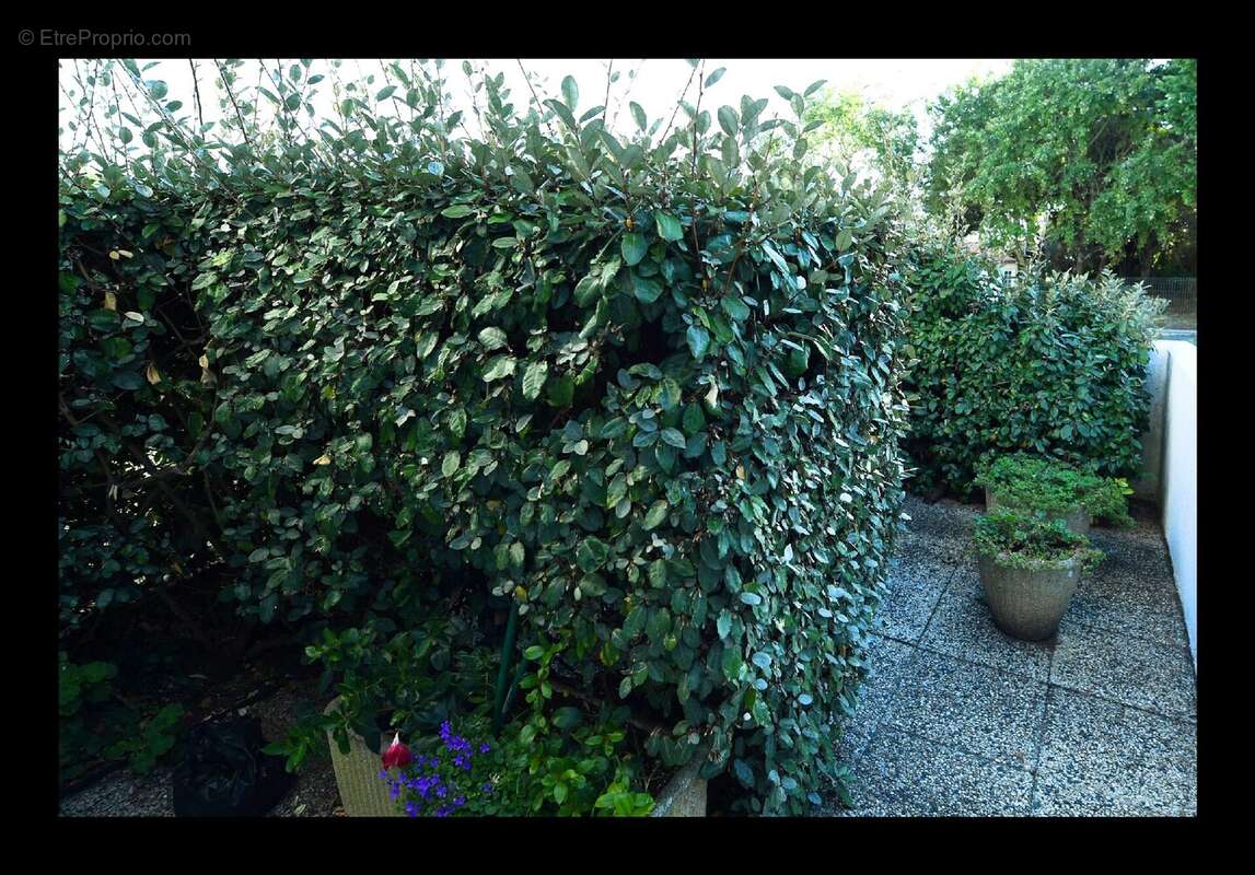 Appartement à SAINT-PIERRE-D'OLERON