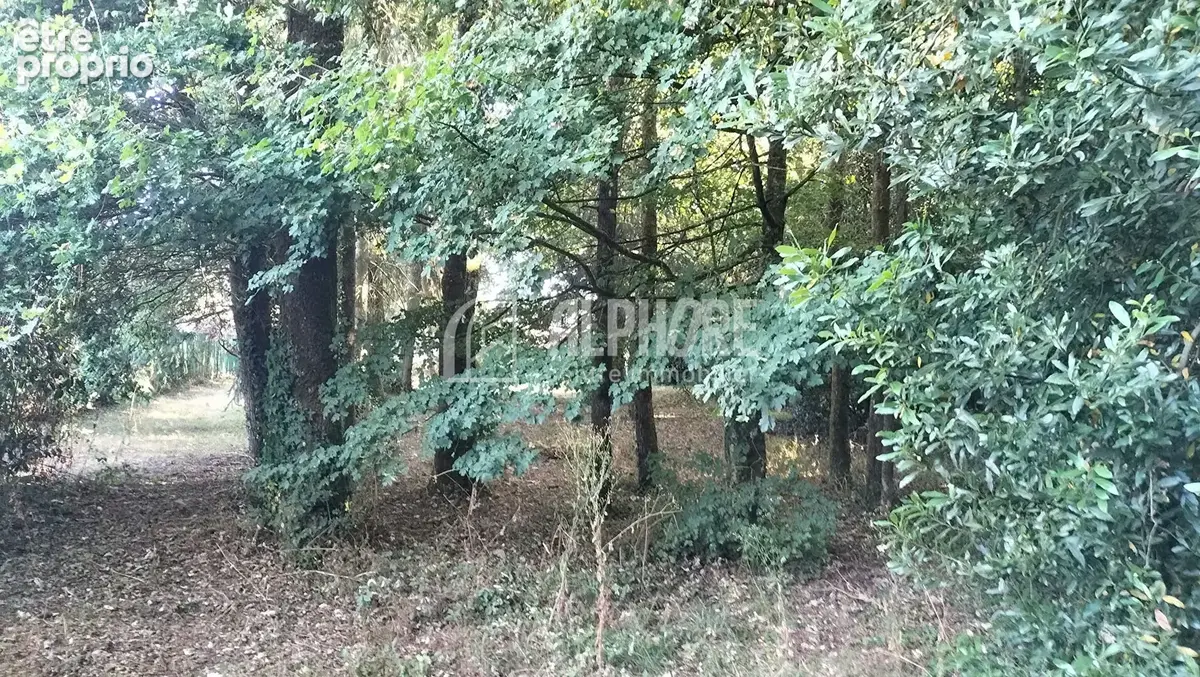 Au calme en campagne maison 5 pièces à vendre à Rouans - Grand terrain de 2999 m² - photo 15