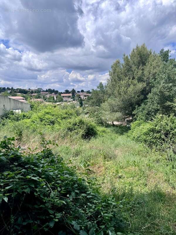 Terrain à SAINT-SAVOURNIN