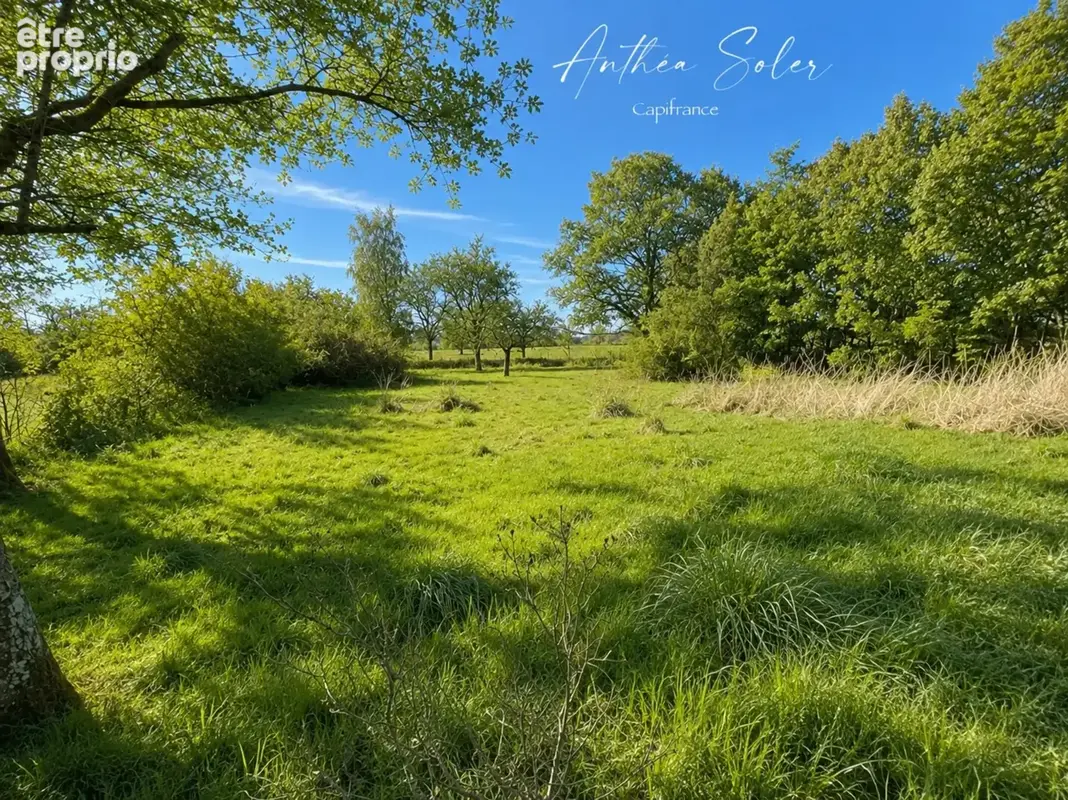 Longère en pierres, avec terrain - photo 4