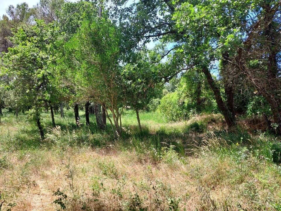 Terrain 655 m² à Gareoult  - photo 2