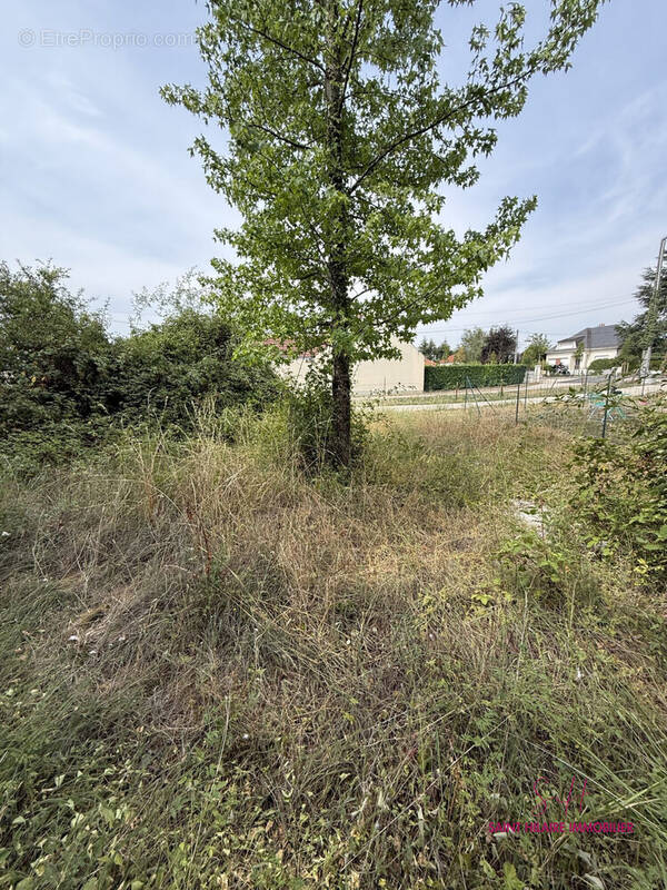 Terrain à CLERY-SAINT-ANDRE