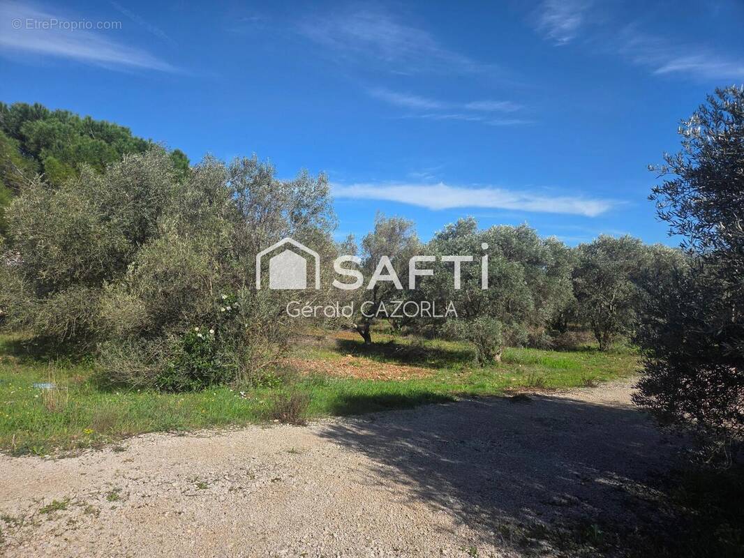 Photo 1 - Terrain à CEYRAS