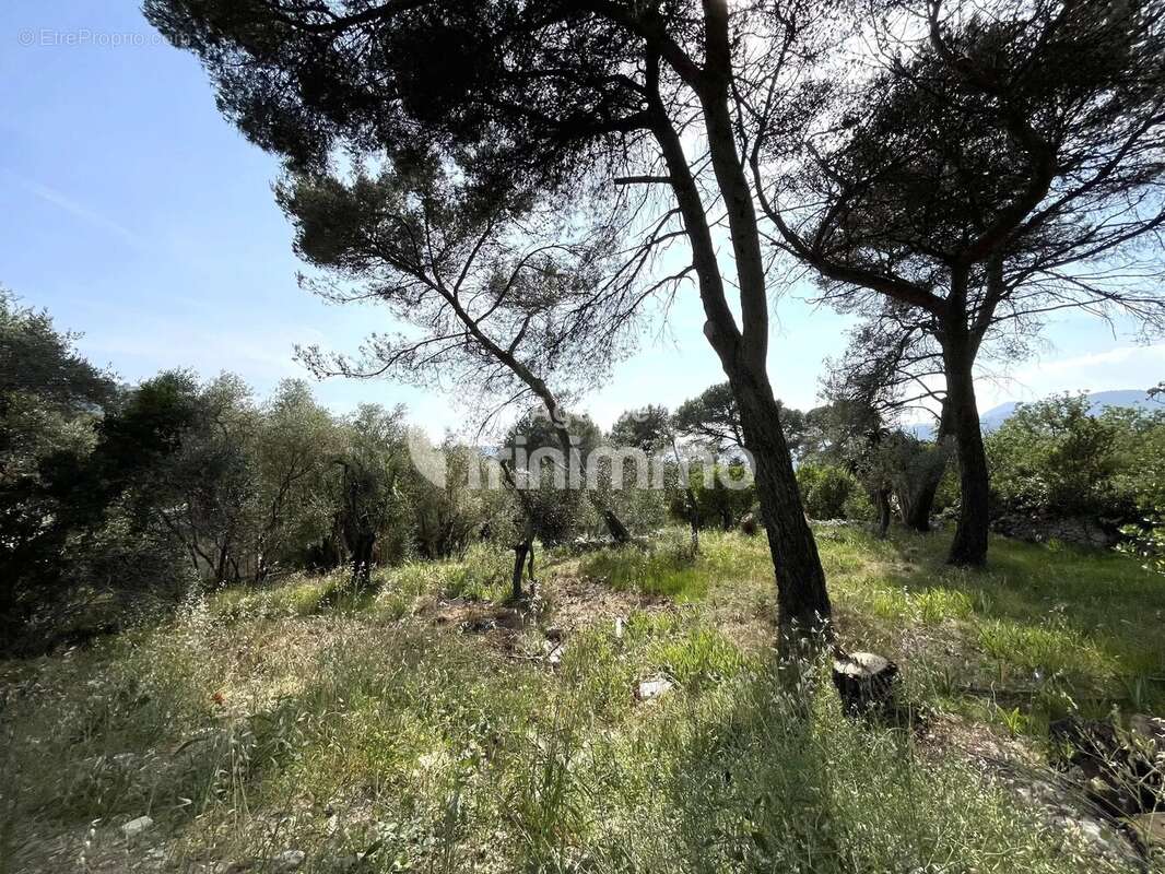 Vente Drap terrain constructible - photo 3