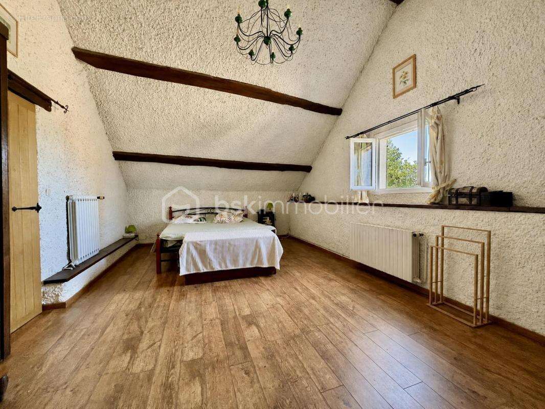 Maison 234 m² à Egreville  - photo 10
