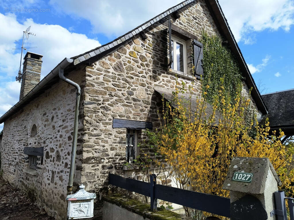 Maison à SAINT-PARDOUX-L'ORTIGIER