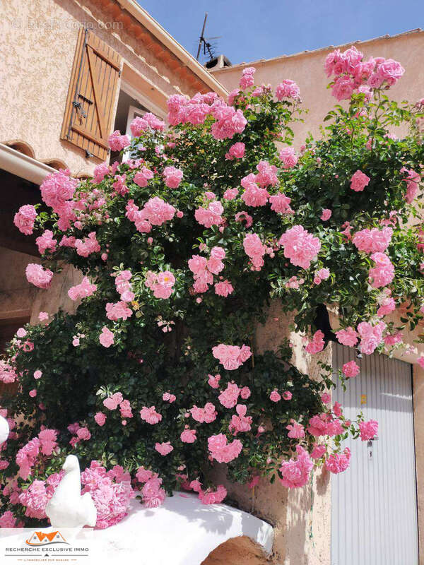 Maison de 4 pièces avec terrasses et jardin - photo 13