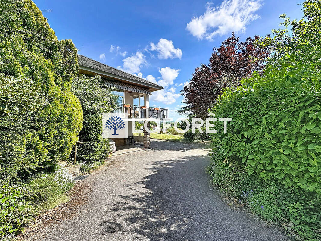 Maison hauteur Beynost - 110m² - 5 pièces - 1761m² de terrain - photo 4