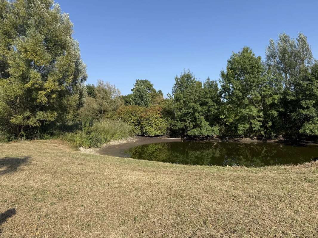 FERME de 248m² - 1hectare48a78ca avec étangs - photo 3
