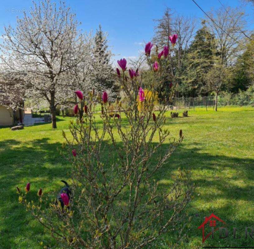 Maison à SAINT-JULIEN