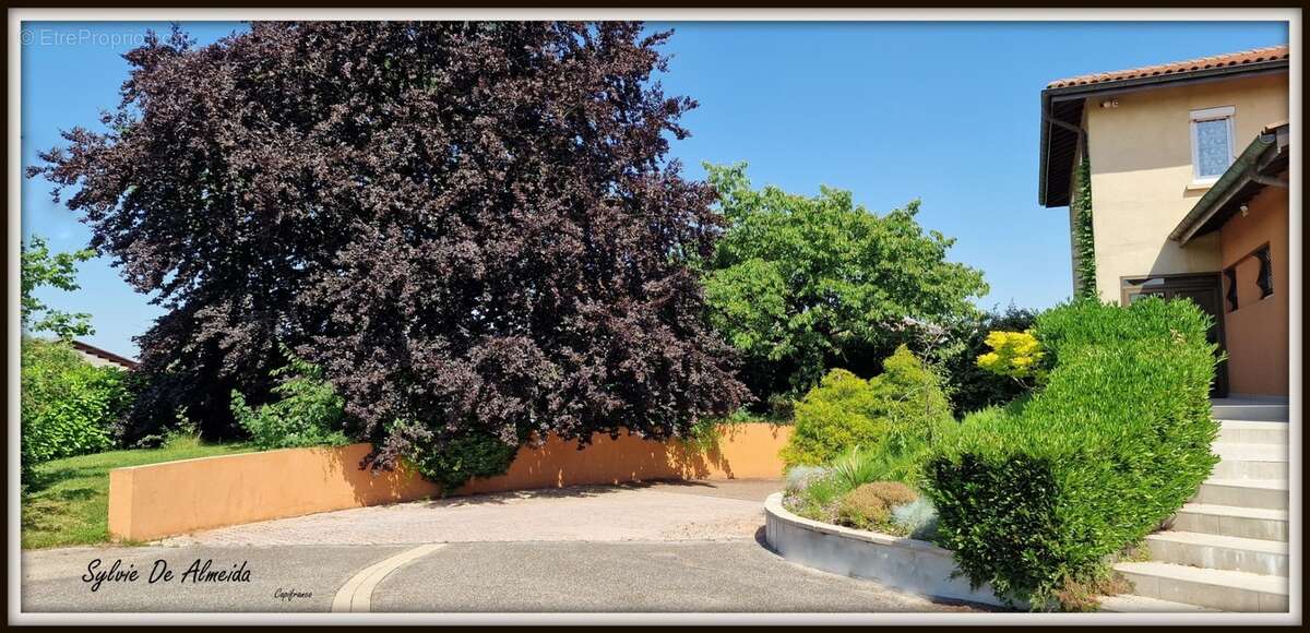 Propriete à vendre 8 pièces 285 m² REPLONGES (01), Piscine, 4 suites, double garage, terrain 2136 m² - photo 24
