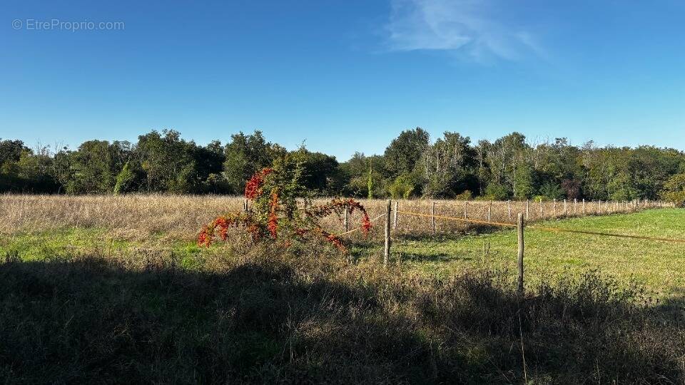 Terrain à CAMBLANES-ET-MEYNAC