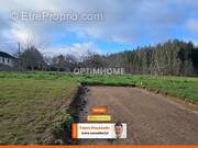 Terrain à LE PALAIS-SUR-VIENNE