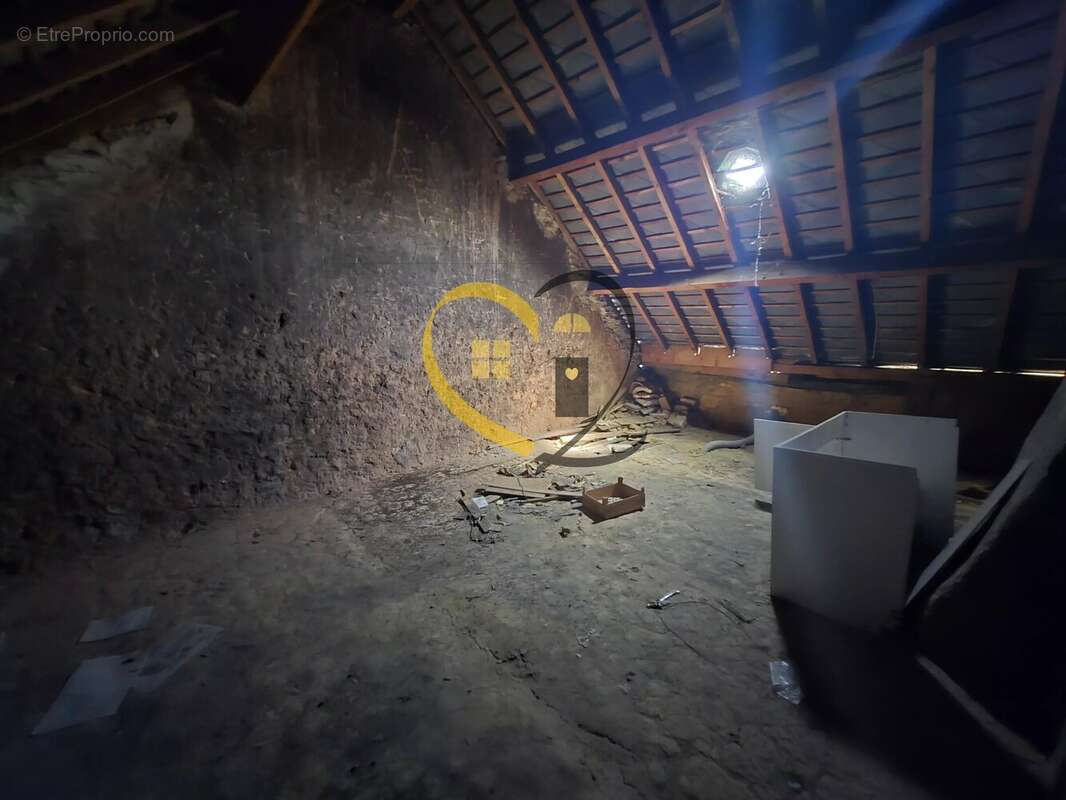 Ensemble immobilier local commercial et appartement à Henrichemont - photo 23