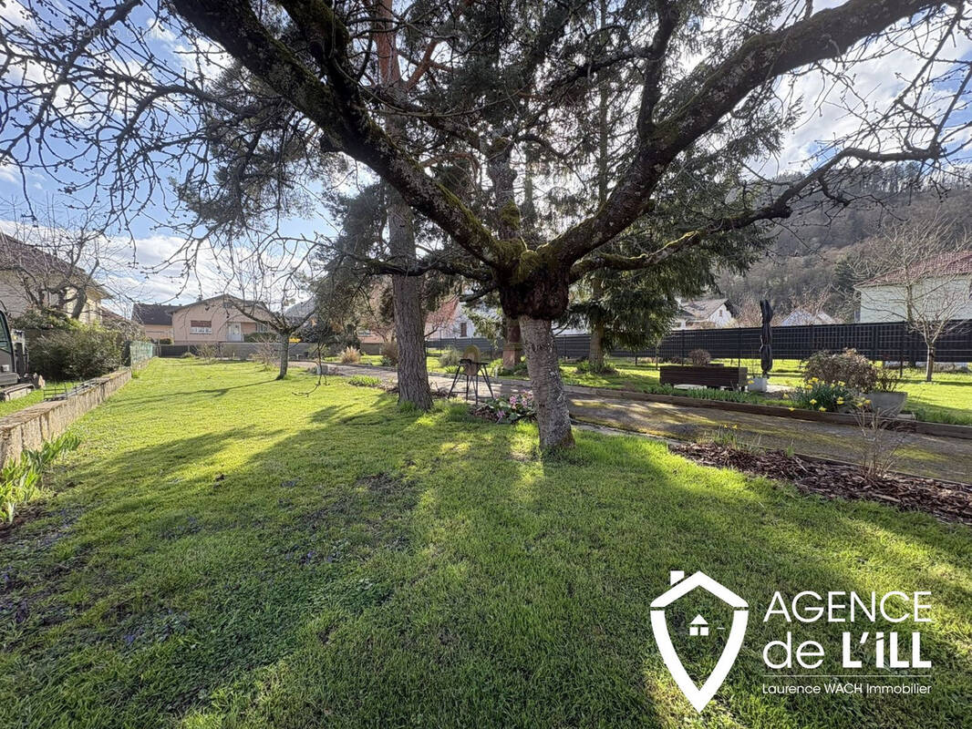 Terrain à CHATENOIS