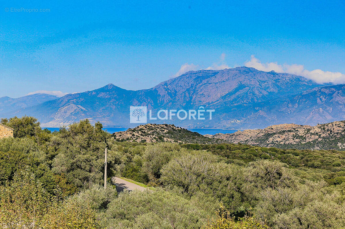 Maison à SANTO-PIETRO-DI-TENDA