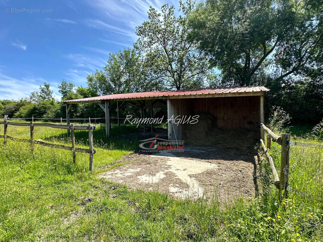 Propriété équestre exceptionnelle avec 5 chambres, piscine chauffée et plus de 6 hectares de terrain - photo 36
