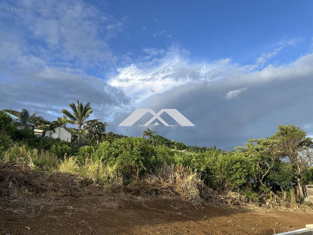 Terrain à SAINT-JOSEPH