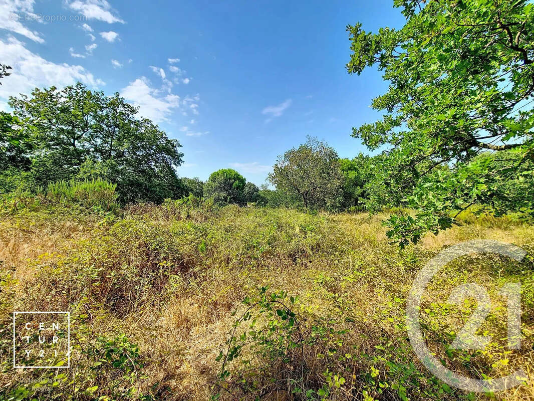 Terrain 5055 m² à Toulouges  - photo 6