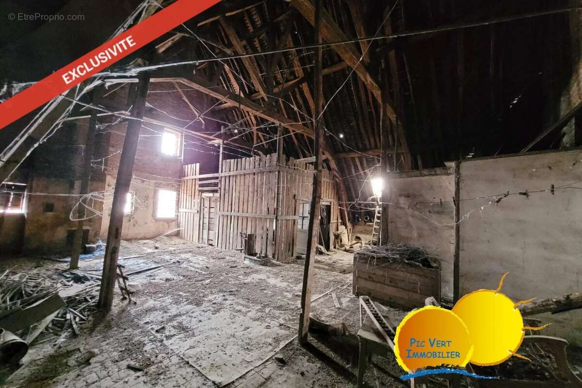 Ensemble immobilier de 2 grands appartements avec grenier, caves et cour - photo 10