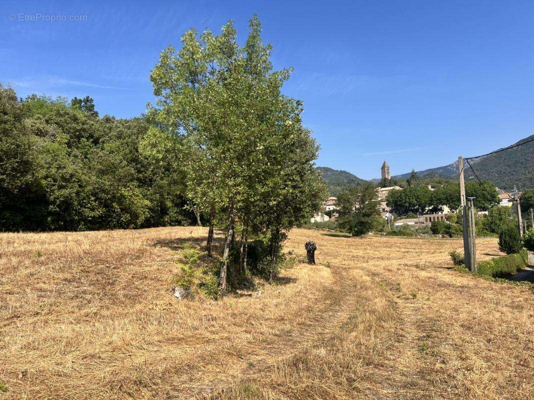 Terrain 20135 m² à Olargues  - photo 2