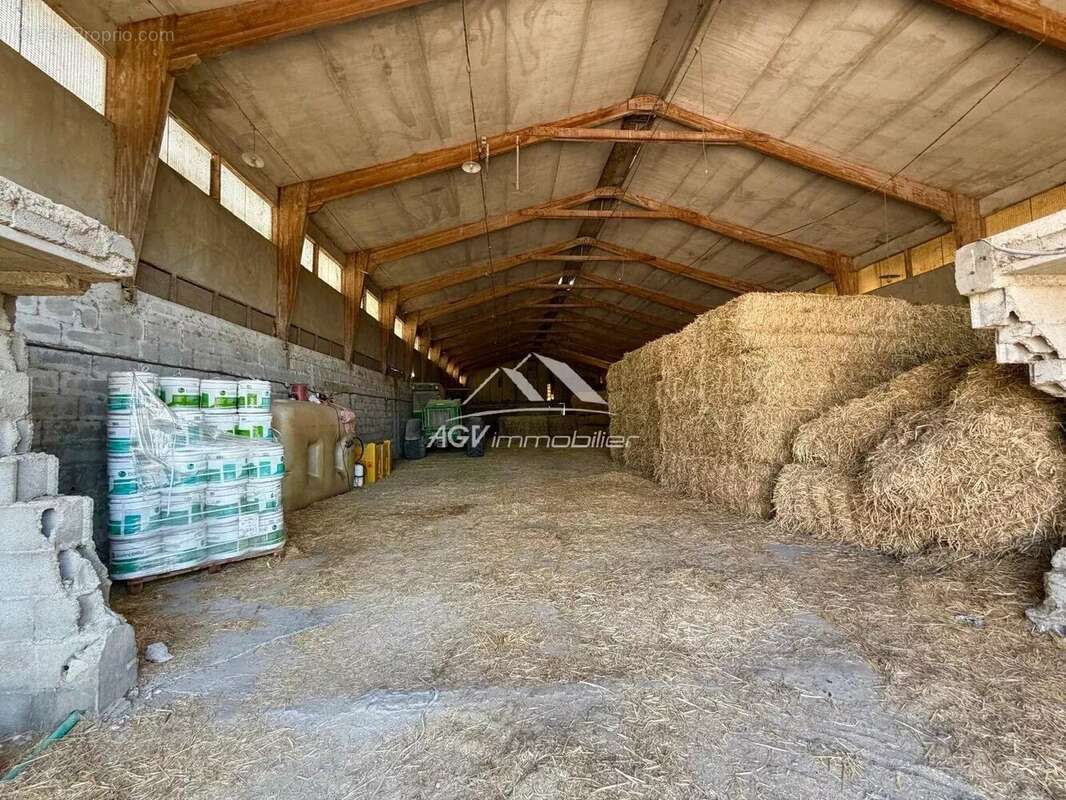 Commerce à MEJANNES-LES-ALES
