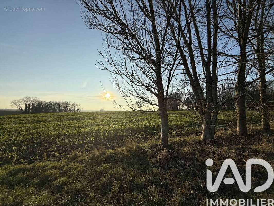 Photo 5 - Maison à AUTREMENCOURT