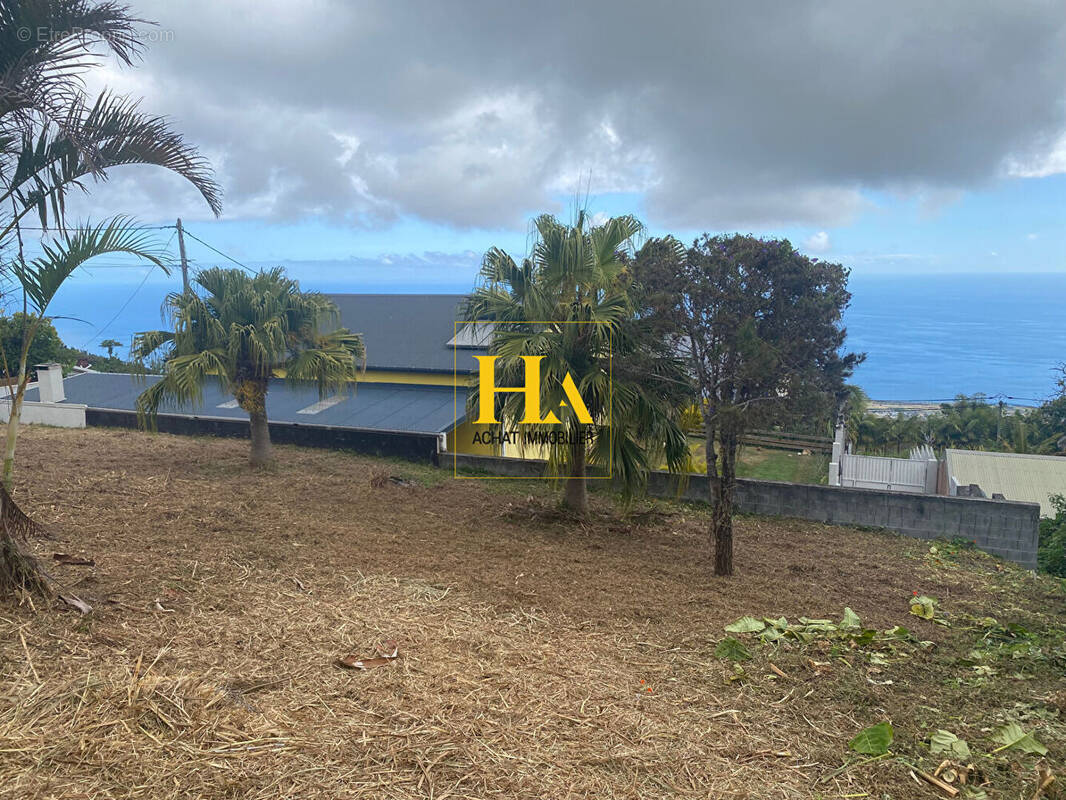 Terrain à SAINT-LEU