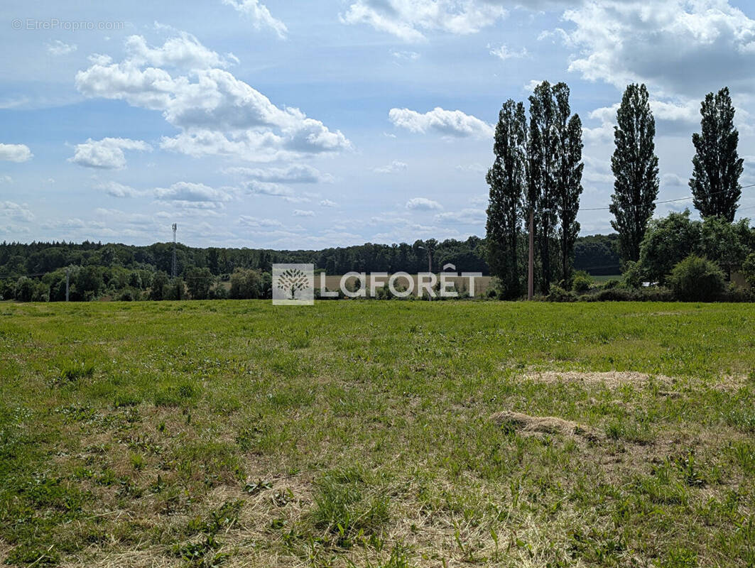 Terrain à DAMPIERRE