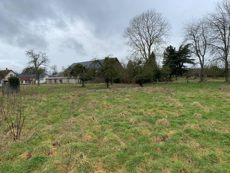 Terrain à SAINT-MAXENT