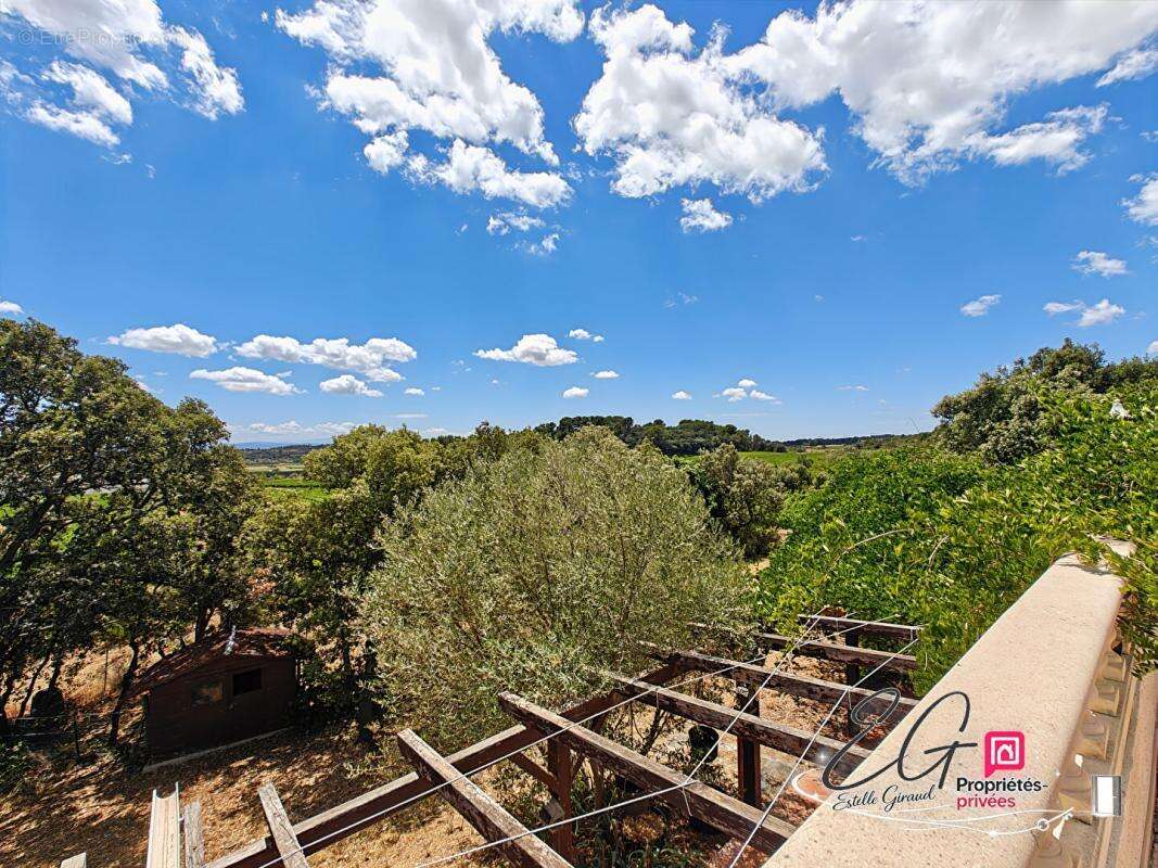Domaine de charme : Propriété avec piscine et deux logements indépendants au coeur de la nature - photo 3