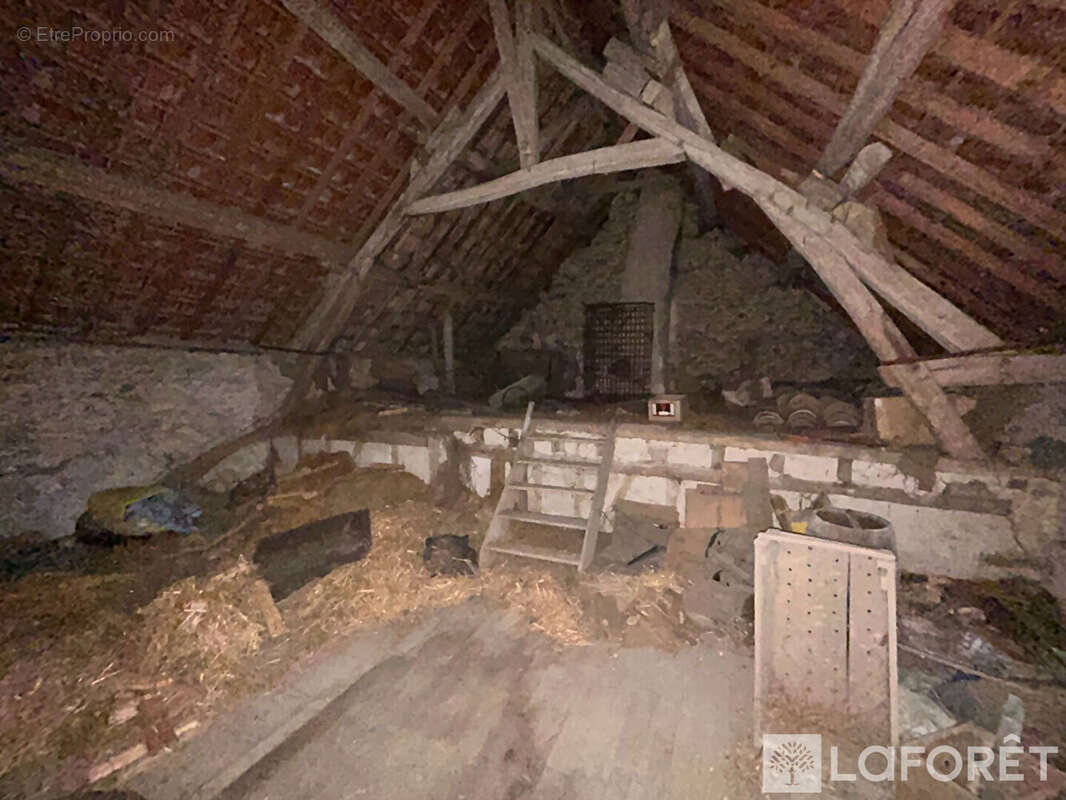 Dépendance avec extérieur à rénover - 15 min d'Epernay, fort potentiel - photo 2