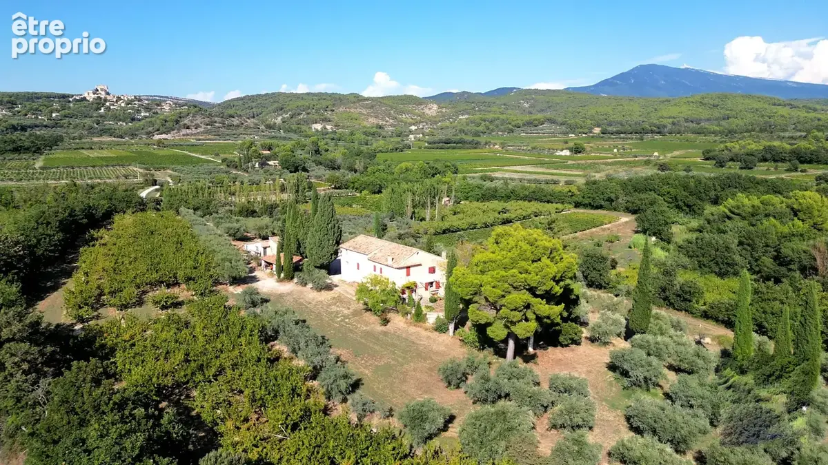 Demeure oliviers verger et vignes - photo 1
