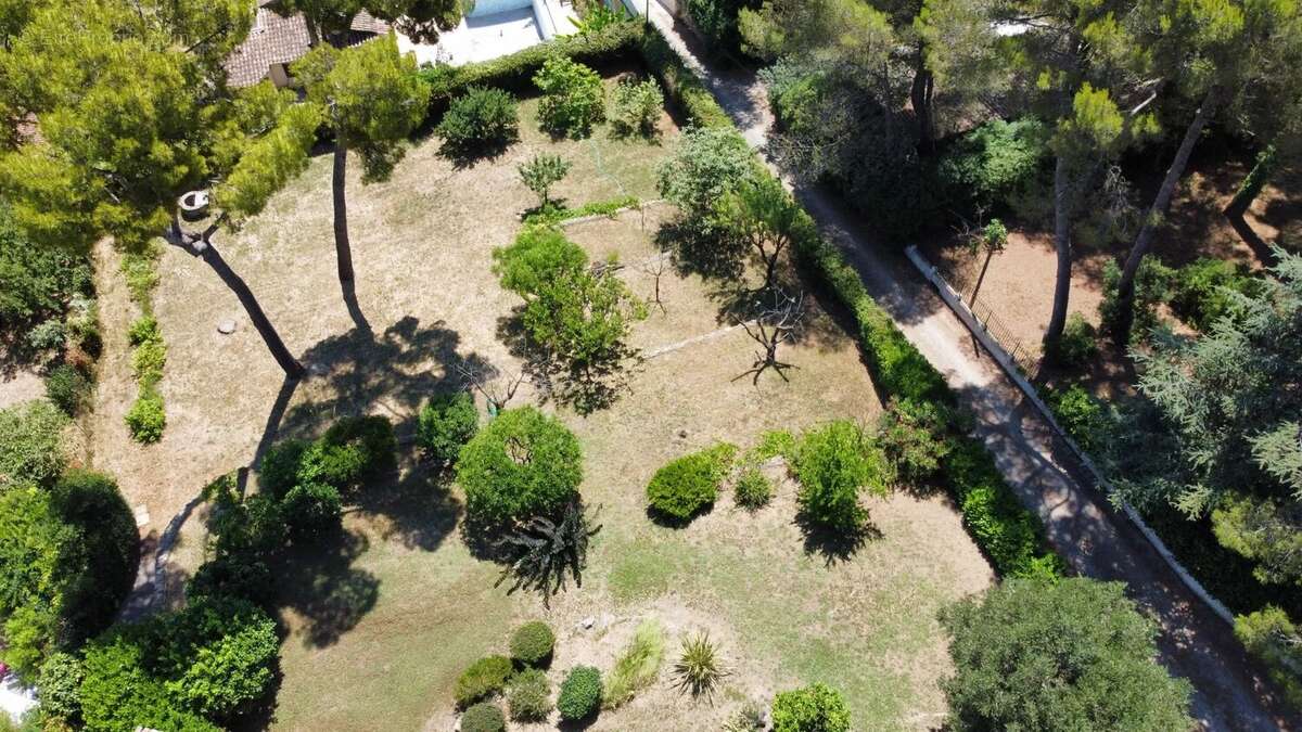 Propriété de caractère à Antibes – Quartier Eucalyptus - photo 5
