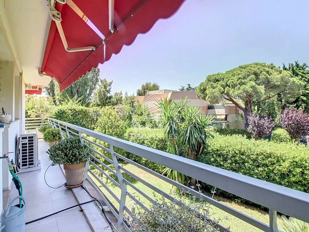 Terrasse 32 m² - 400 mètres de la mer - Calme - Basse Californie, Cannes - photo 7