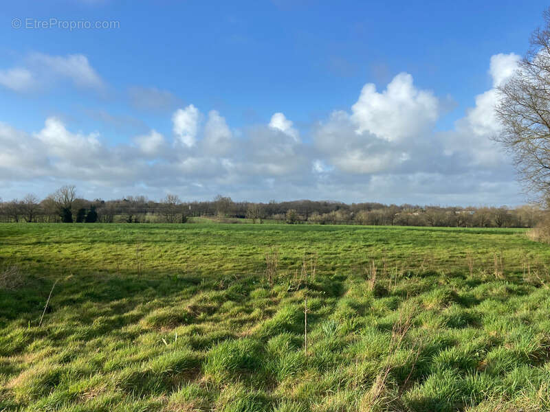 Maison à LA CHAPELLE-ACHARD
