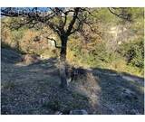 Terrain à VINS-SUR-CARAMY