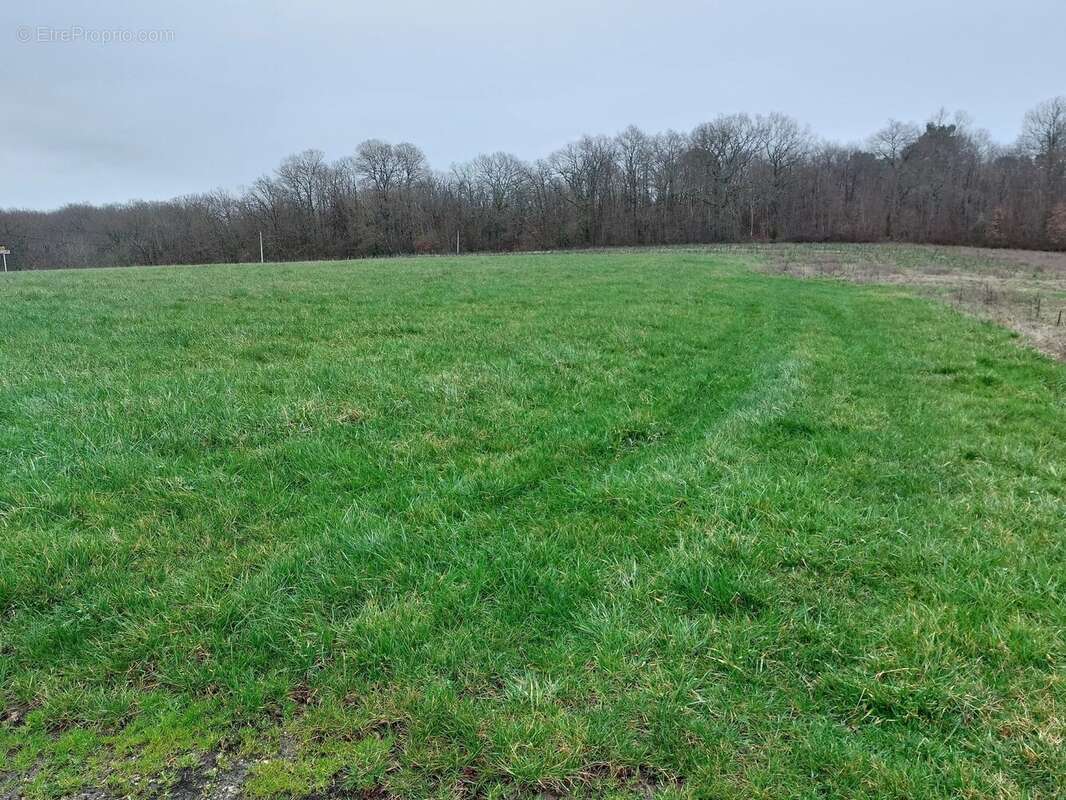 Terrain à SAINTE-COLOMBE