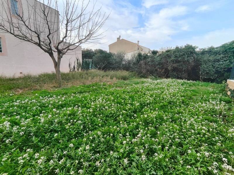 Terrain à FRONTIGNAN