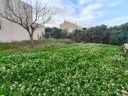 Terrain à FRONTIGNAN